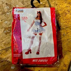 Dorothy costume